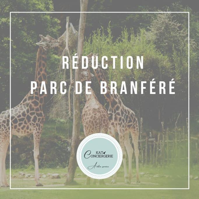 Appartement En Plein Coeur De Vannes Ngoại thất bức ảnh